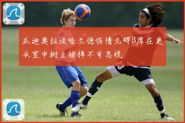 瓜迪奥拉谈哈兰德伤情无碍B席在更衣室中树立榜样不可忽视