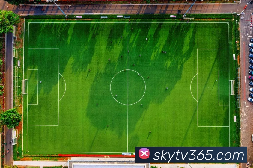 体育赛事直播