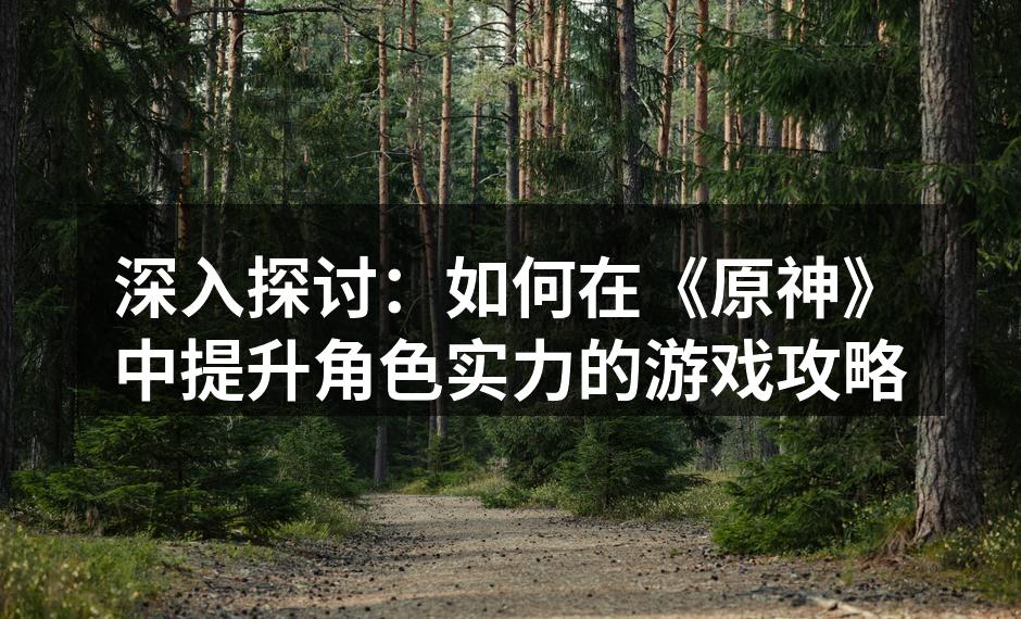 提升角色实力的多种方法